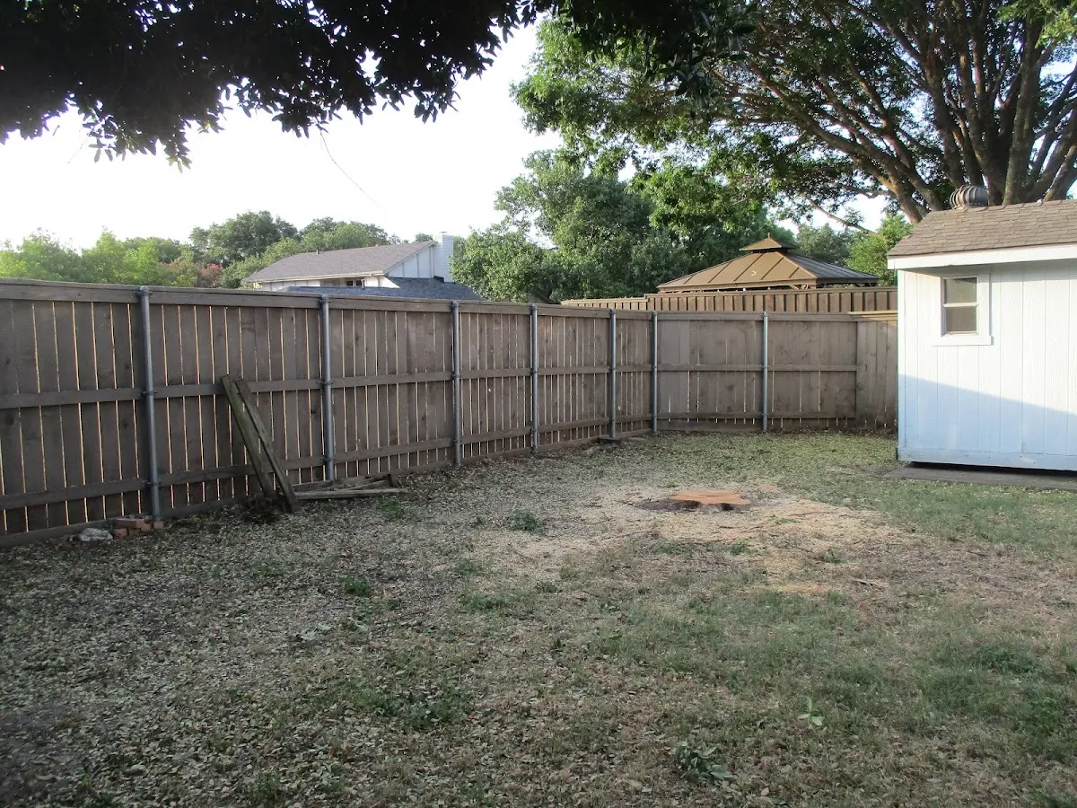 Cleared yard after professional tree removal in Newburg